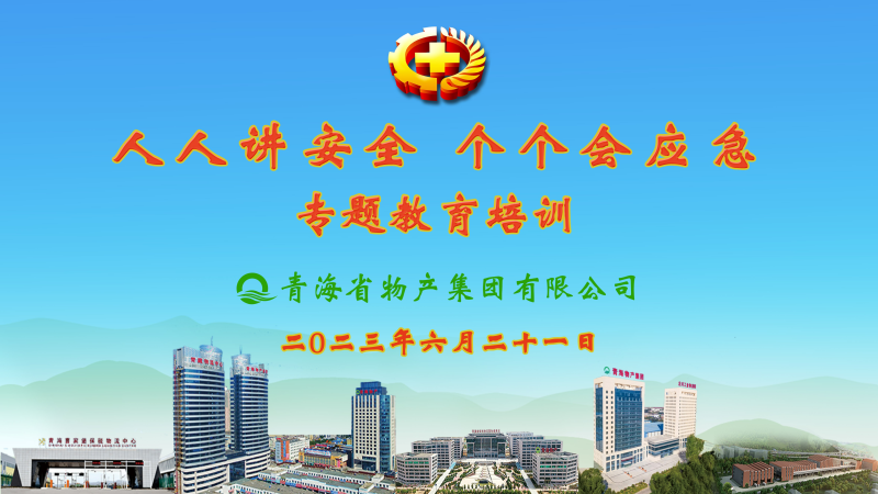 提高安全管理水平 落實(shí)全員安全責(zé)任——集團(tuán)安委會(huì)舉辦2023年“人人講安全，個(gè)個(gè)會(huì)應(yīng)急”專題教育培訓(xùn)