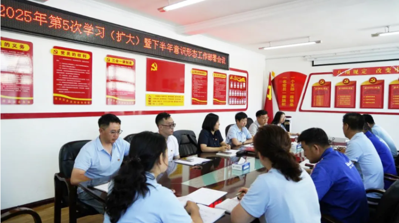 汽貿(mào)公司黨支部對學習教育“回頭看”工作再檢查再部署再推動