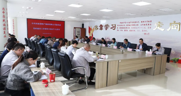 省物產(chǎn)集團(tuán)黨委召開(kāi)黨的建設(shè)工作領(lǐng)導(dǎo)小組（擴(kuò)大）會(huì)議