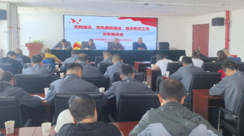 工投公司黨委召開黨的建設(shè)、黨風廉政建設(shè)、意識形態(tài)工作半年推進會